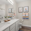 a bathroom with a large mirror, sink, shower, and toilet